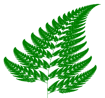 Fractal fern generated by computer