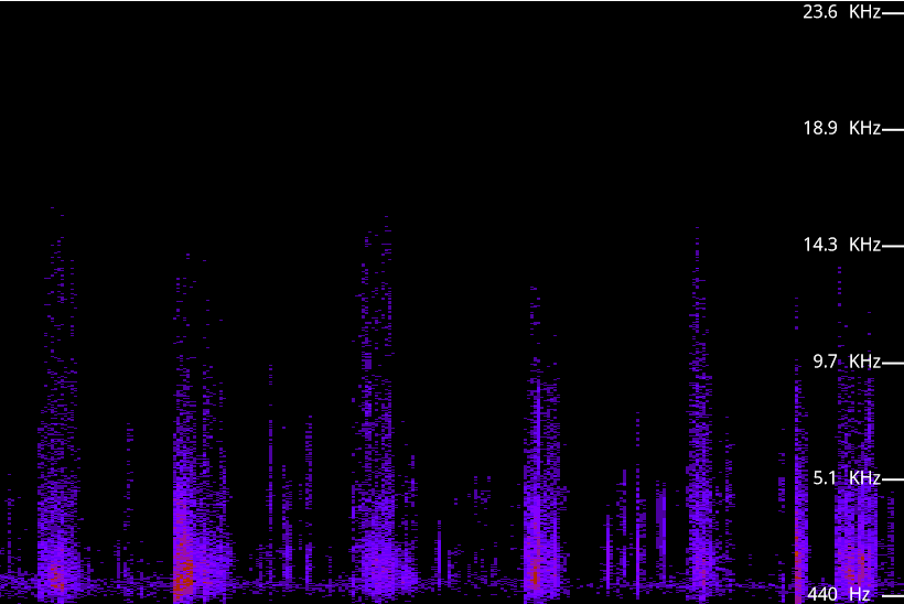 spectrogram of footsteps on gravel